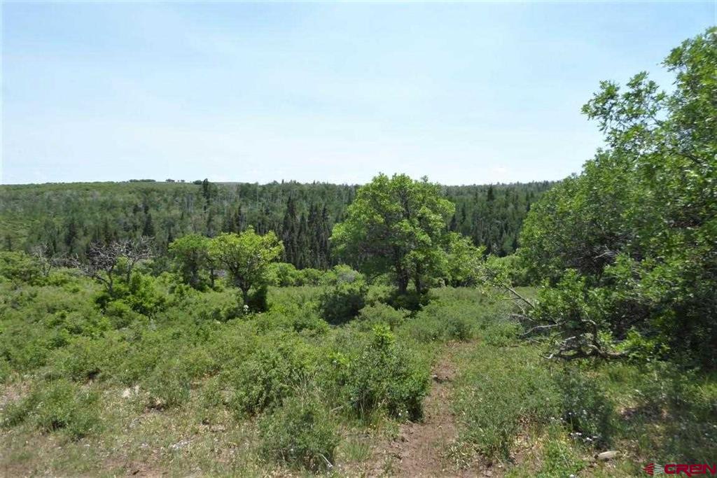 Tbd Transfer Road Property Photo 8