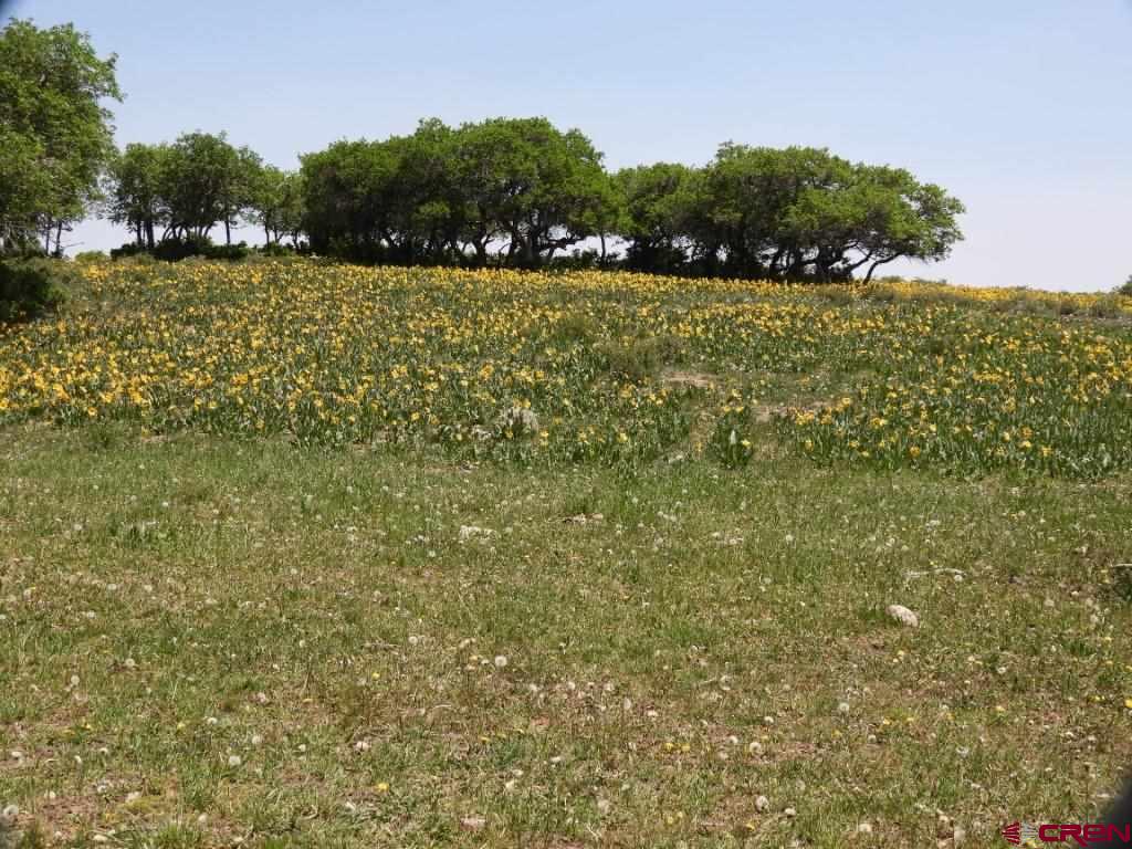 Tbd Transfer Road Property Photo 9