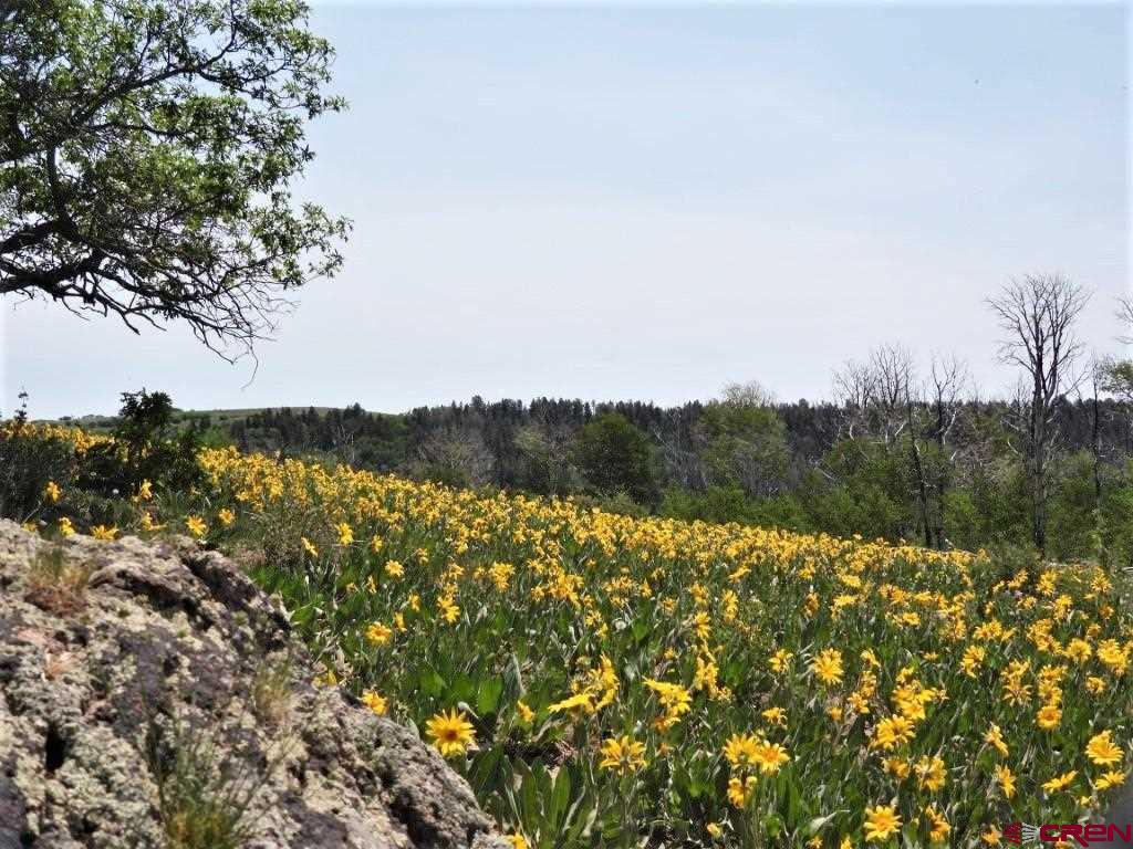 Tbd Transfer Road Property Photo 10