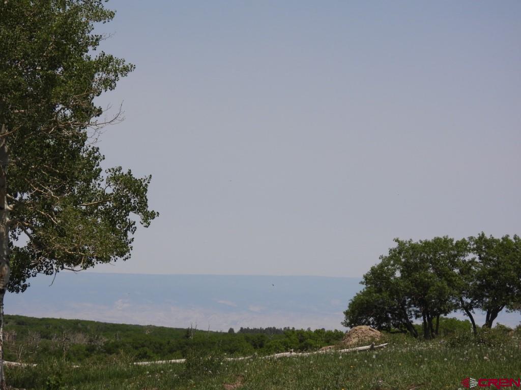 Tbd Transfer Road Property Photo 12