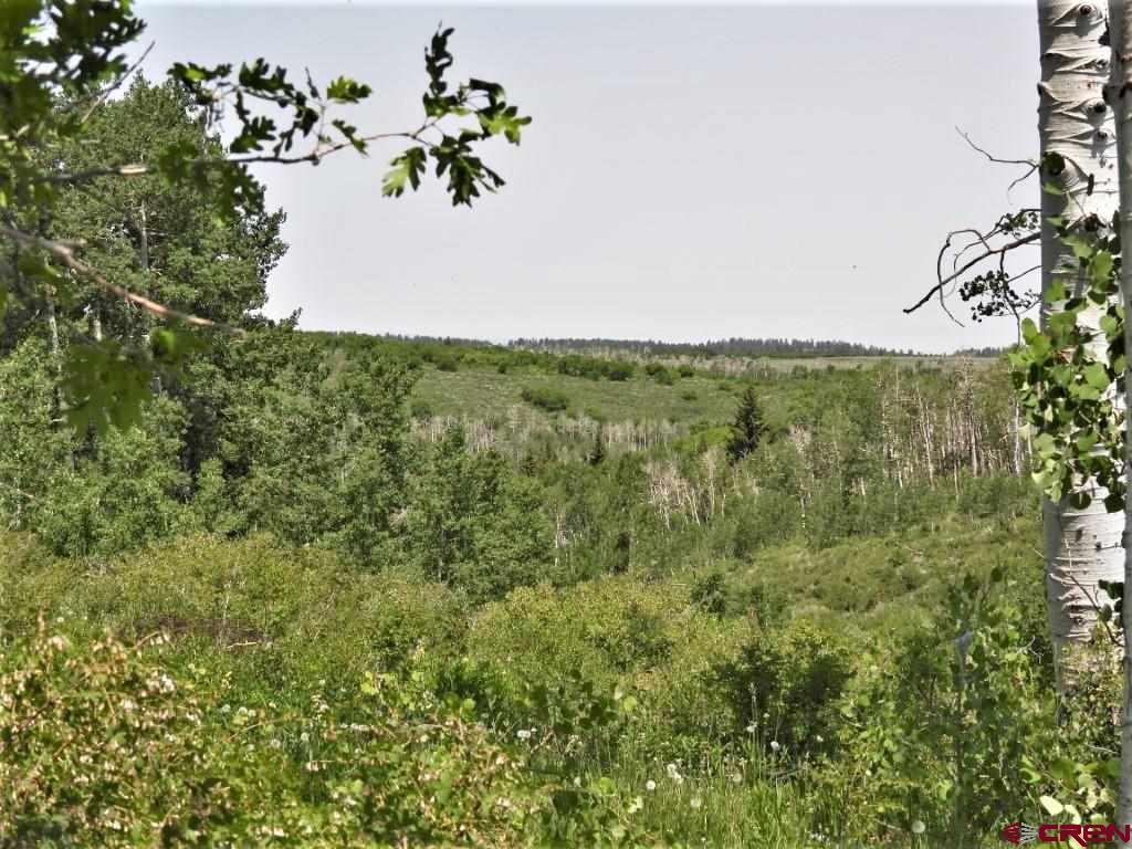Tbd Transfer Road Property Photo 13