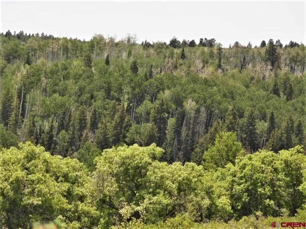 Tbd Transfer Road Property Photo 16