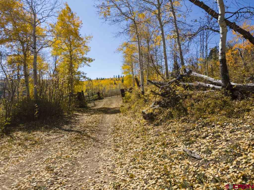 Tbd Transfer Road Property Photo 20