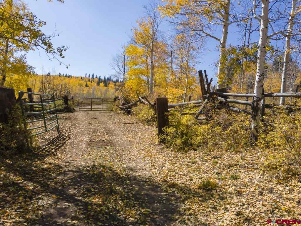 Tbd Transfer Road Property Photo 21