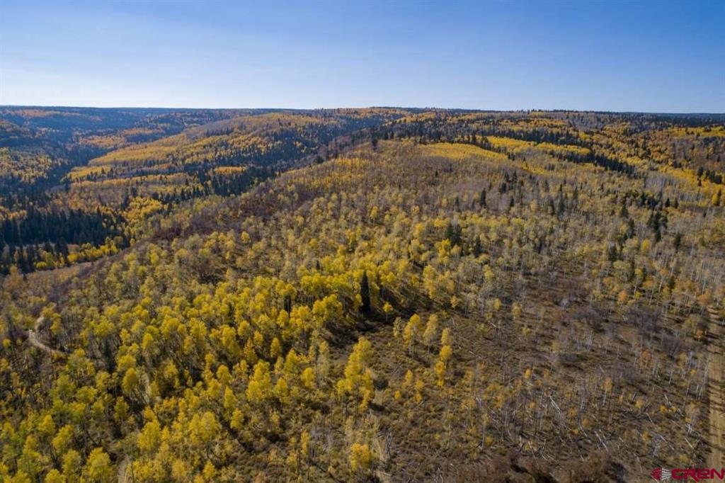 Tbd Transfer Road Property Photo 26