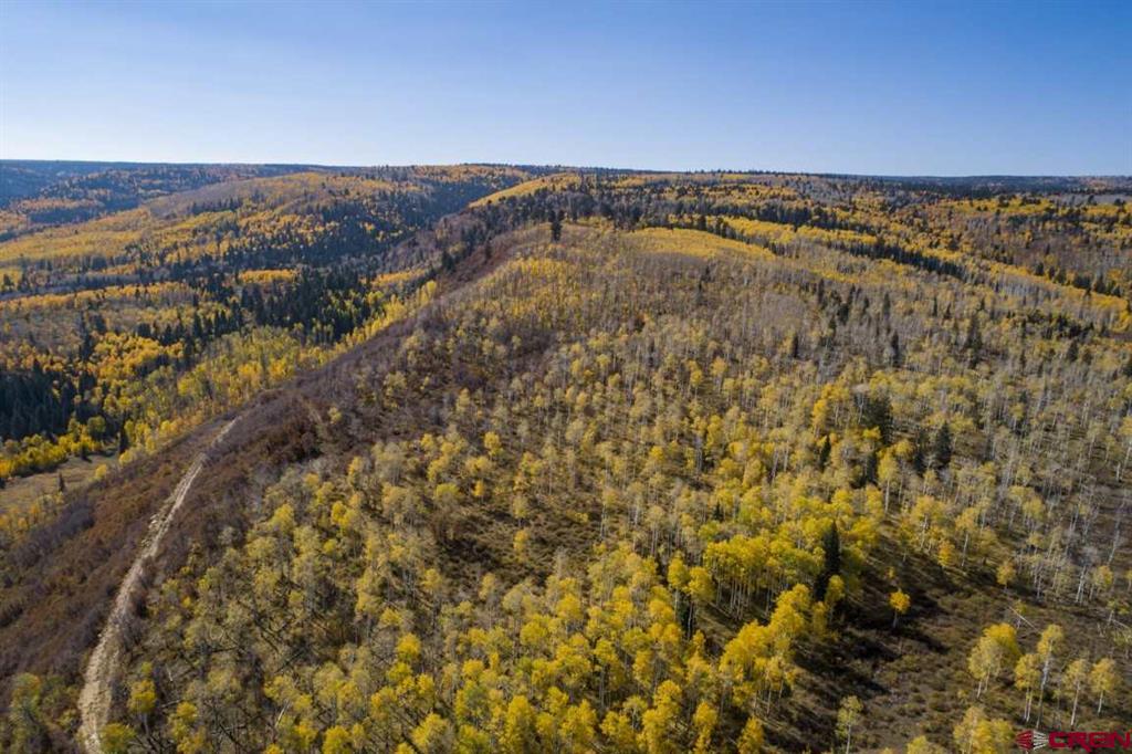 Tbd Transfer Road Property Photo 27