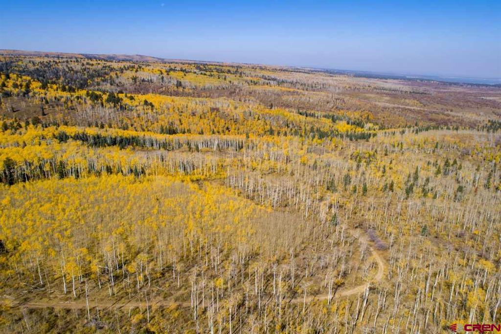 Tbd Transfer Road Property Photo 33