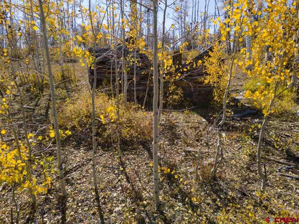 Tbd Transfer Road Property Photo 35