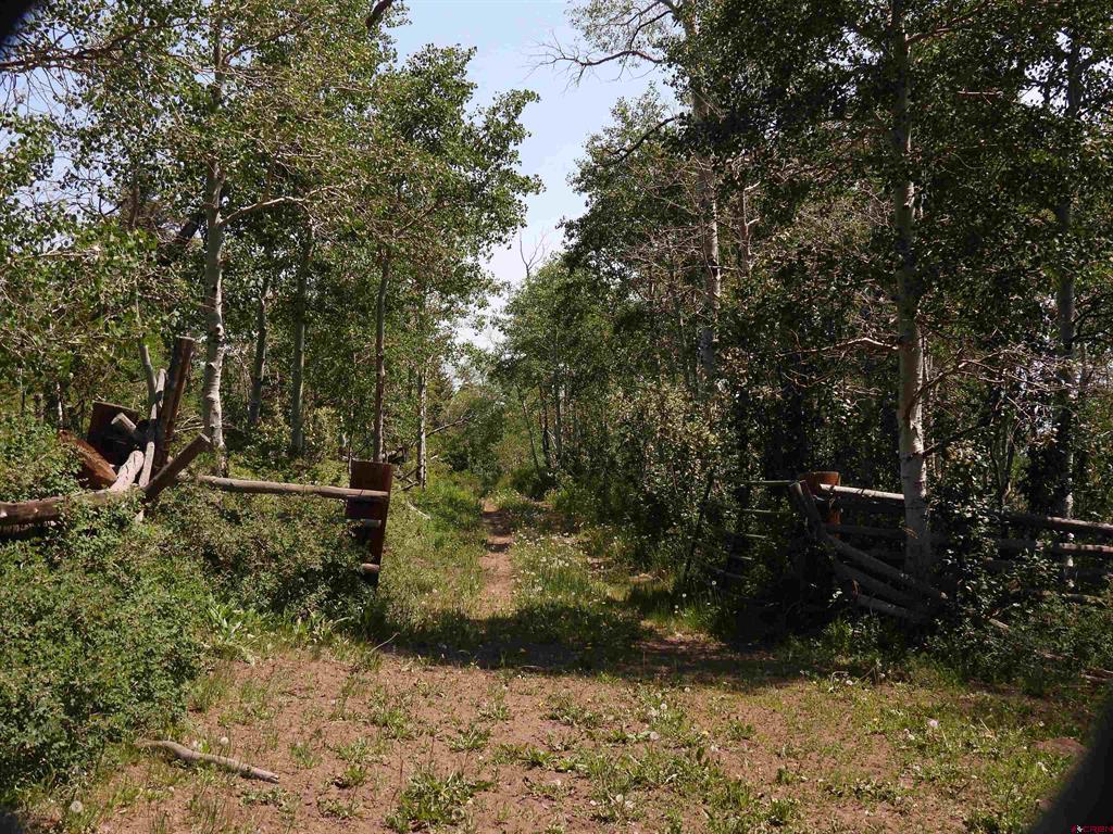 Tbd Transfer Road Property Photo 3