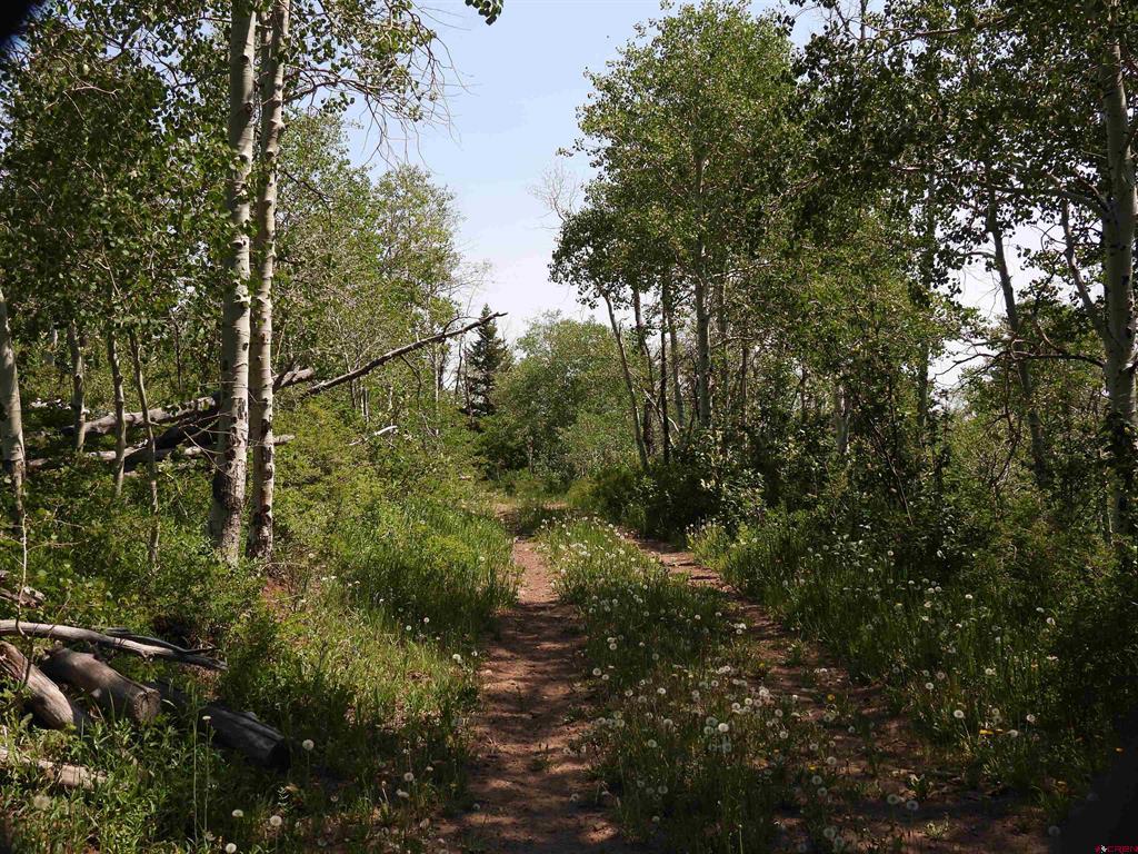 Tbd Transfer Road Property Photo 4