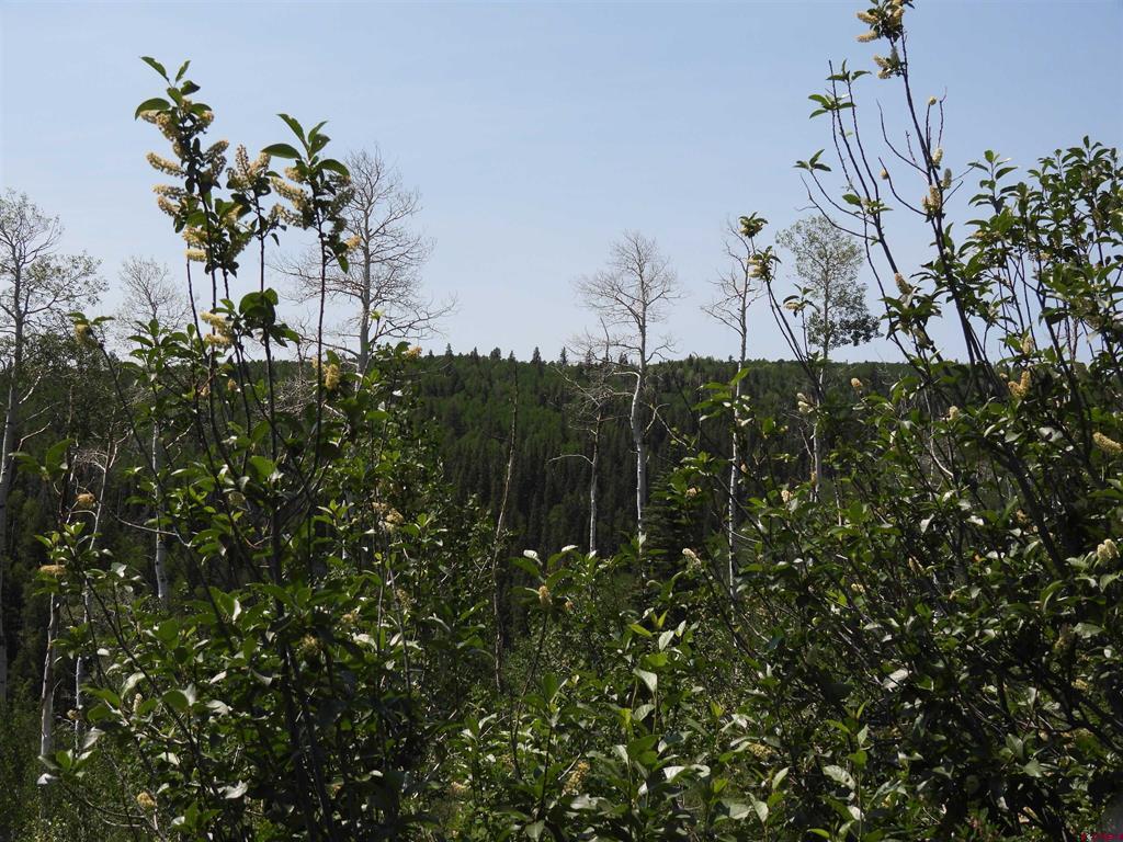 Tbd Transfer Road Property Photo 5