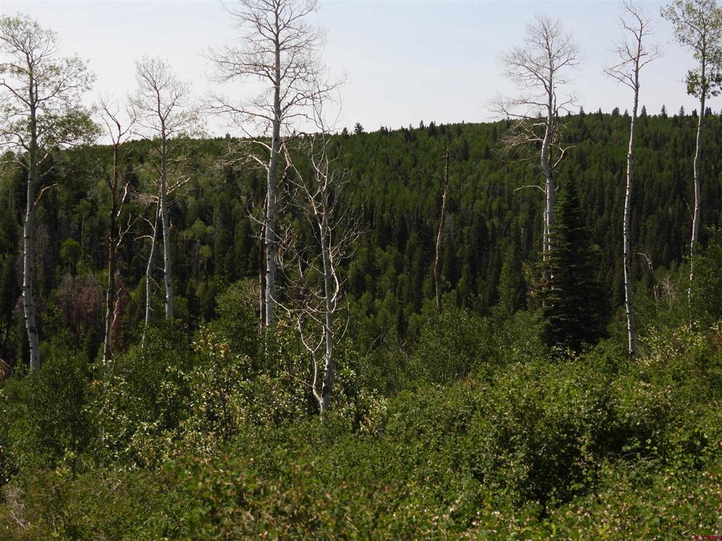 Tbd Transfer Road Property Photo 6