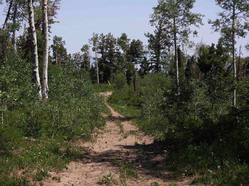 Tbd Transfer Road Property Photo 7