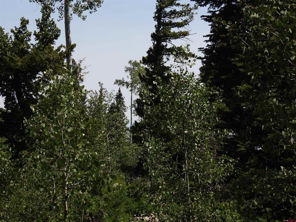 Tbd Transfer Road Property Photo 8