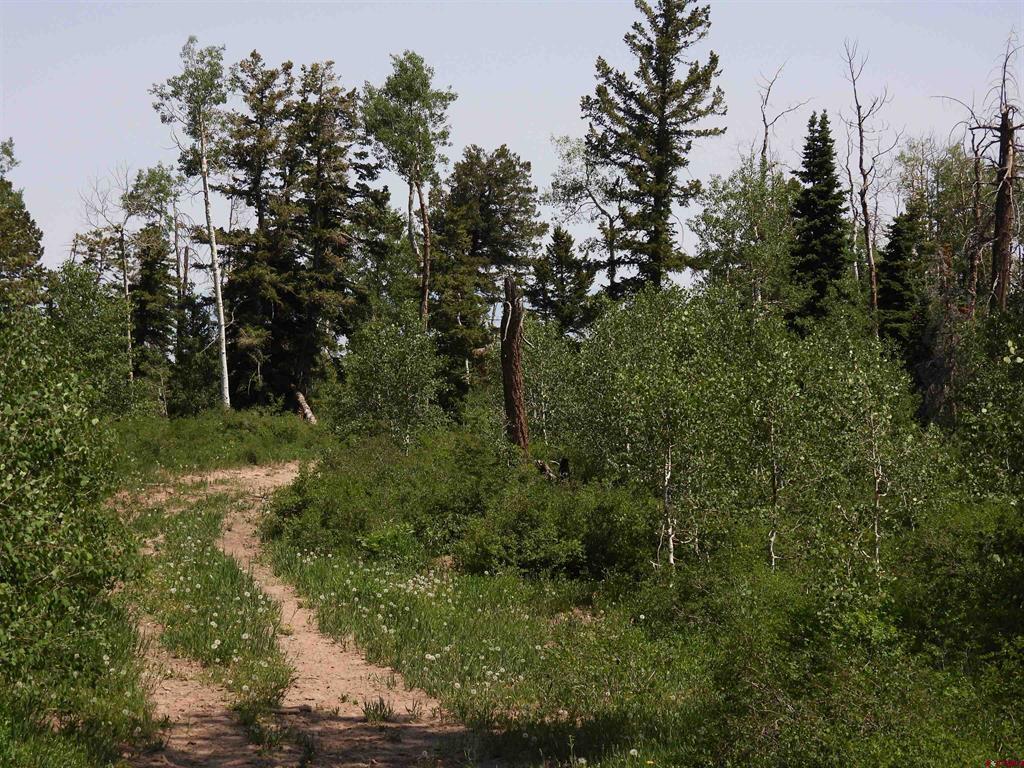 Tbd Transfer Road Property Photo 9