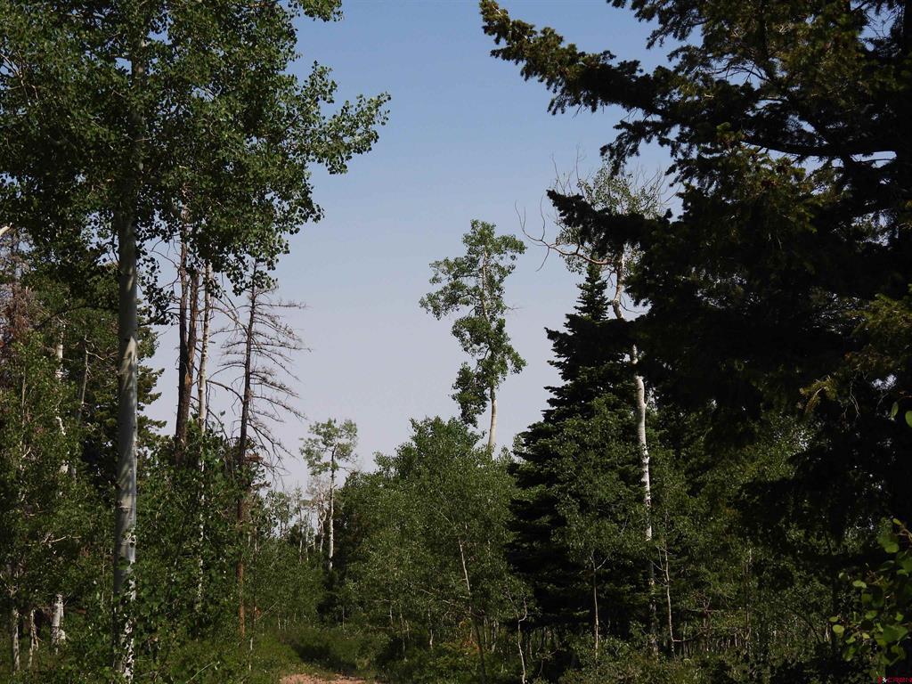 Tbd Transfer Road Property Photo 11