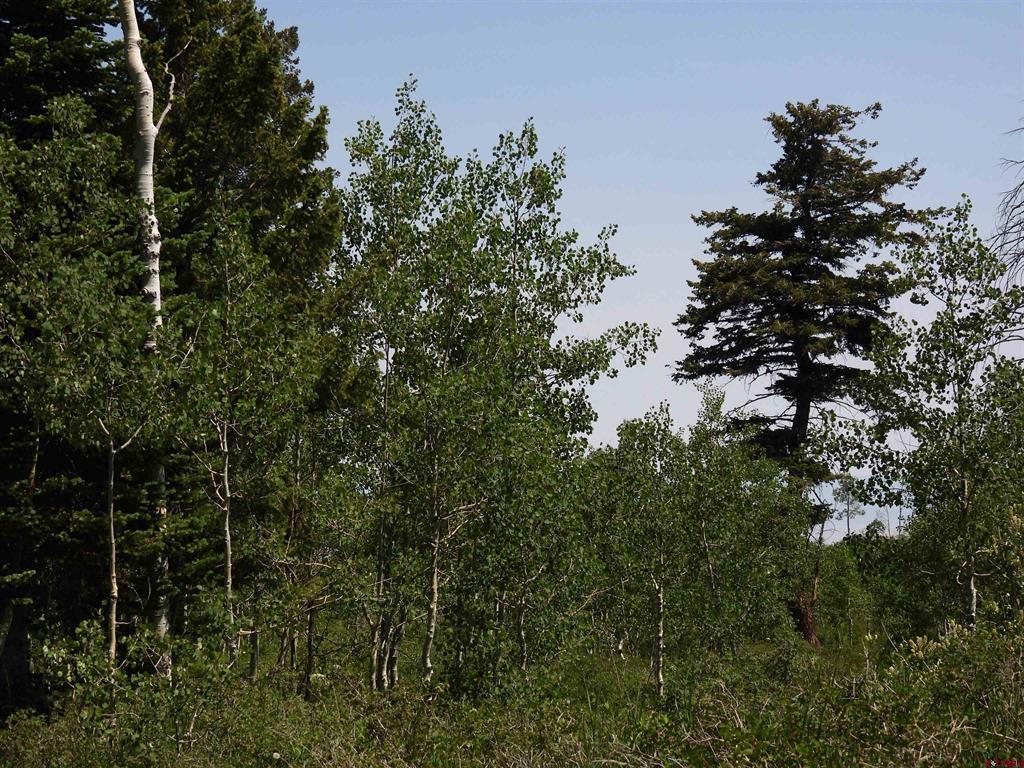 Tbd Transfer Road Property Photo 12