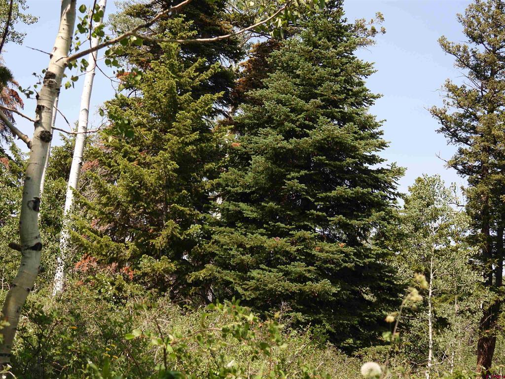 Tbd Transfer Road Property Photo 14