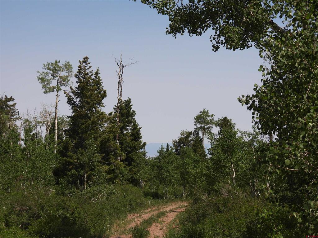 Tbd Transfer Road Property Photo 19