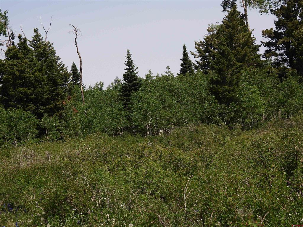 Tbd Transfer Road Property Photo 20