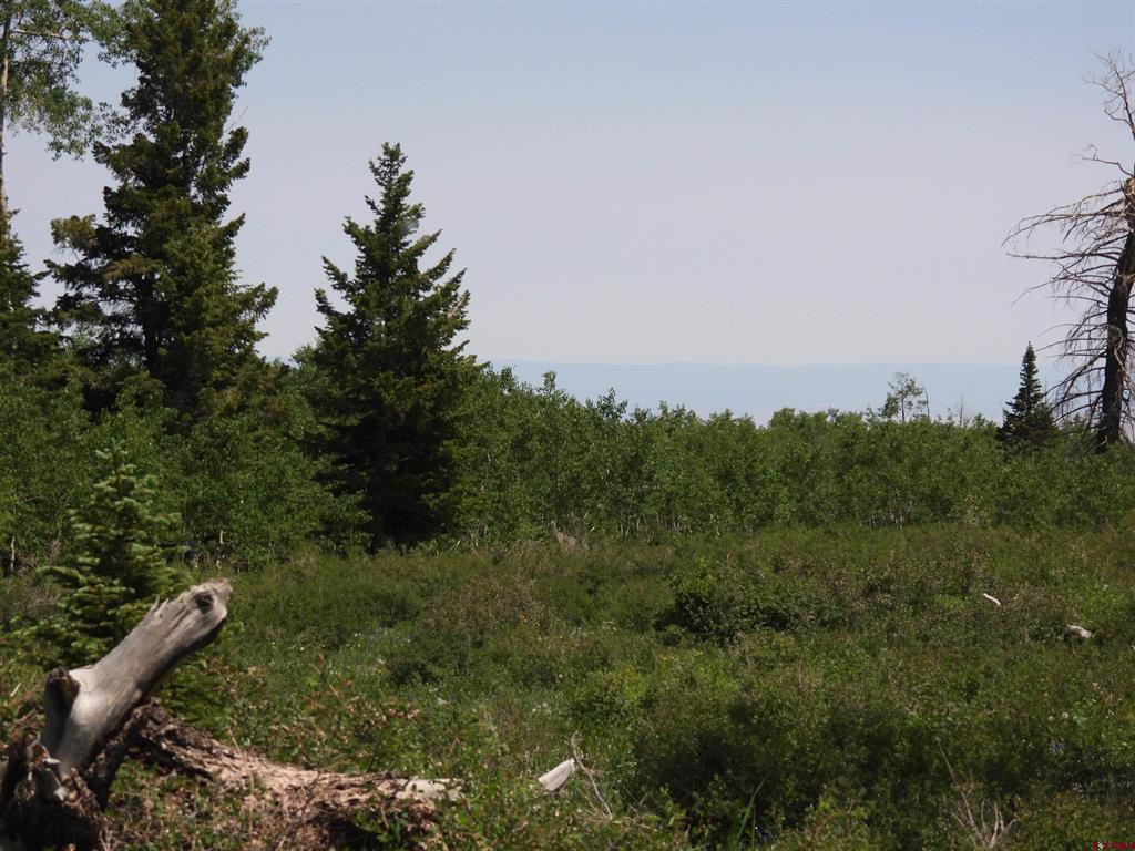 Tbd Transfer Road Property Photo 21
