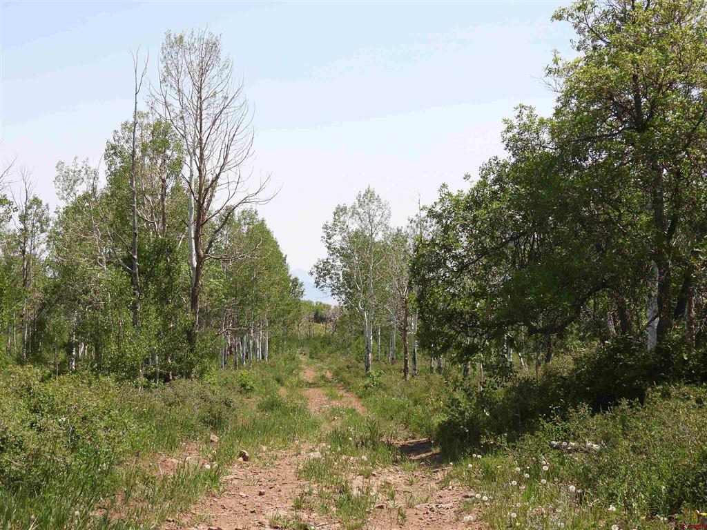 Tbd Transfer Road Property Photo 22