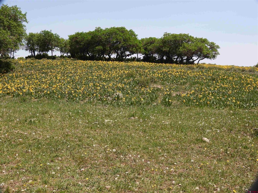 Tbd Transfer Road Property Photo 23