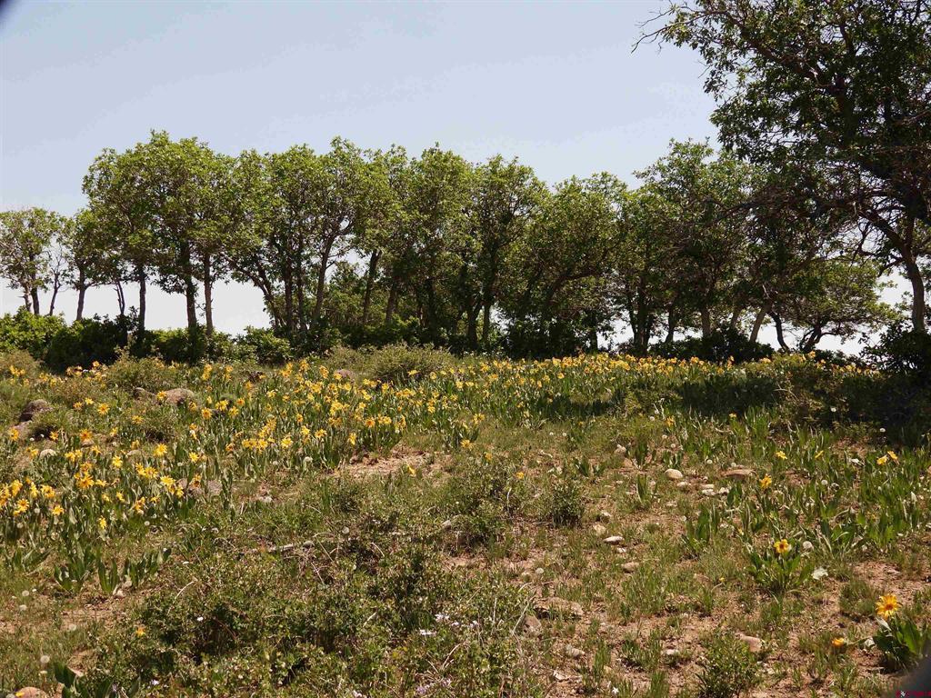 Tbd Transfer Road Property Photo 25