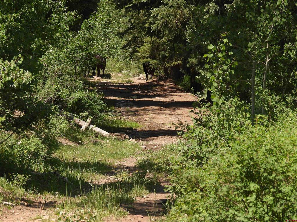 Tbd Transfer Road Property Photo 29