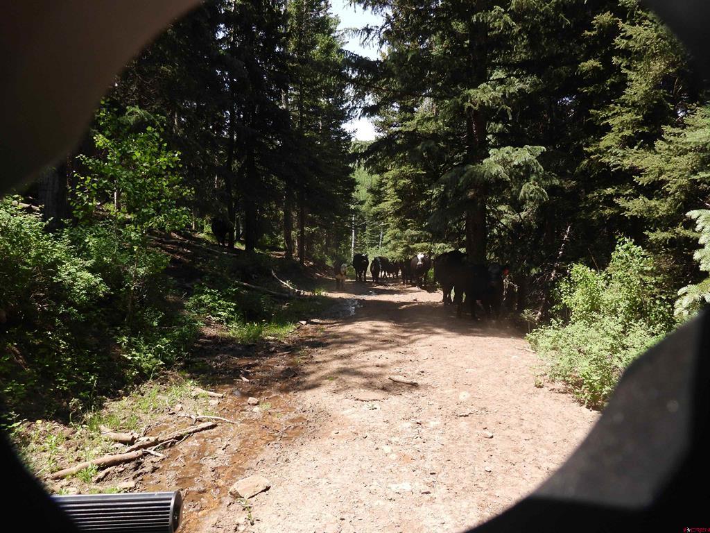 Tbd Transfer Road Property Photo 31