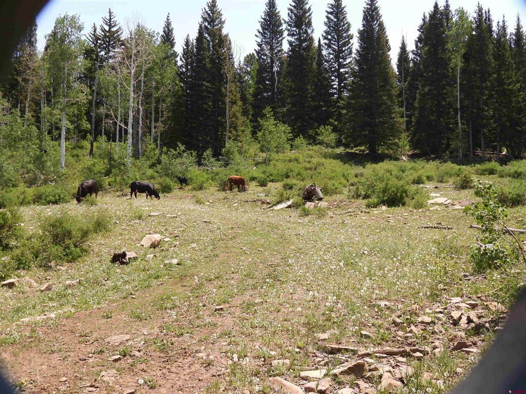 Tbd Transfer Road Property Photo 35