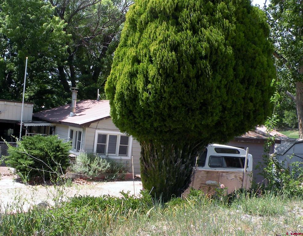 334 Fox Street Property Photo 3