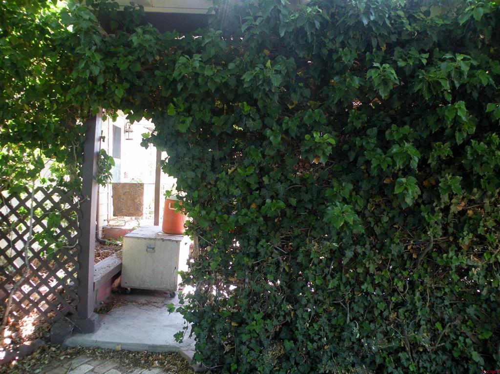 334 Fox Street Property Photo 7