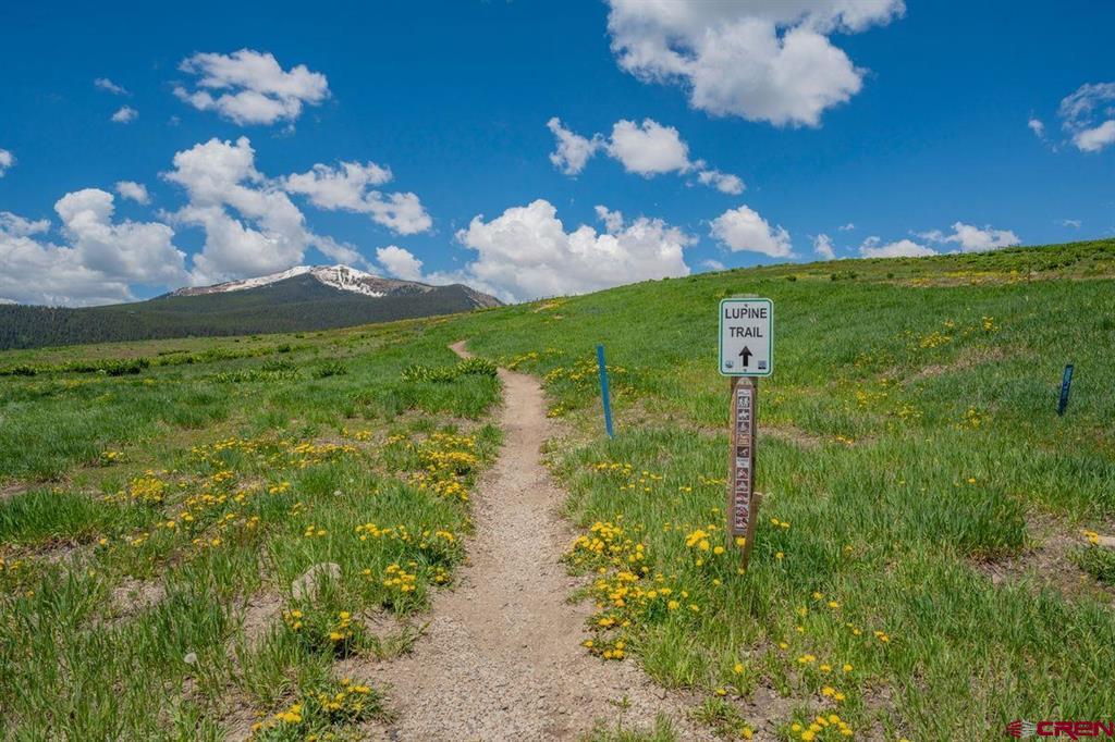 525 Saddle Ridge Ranch Road Property Photo 10