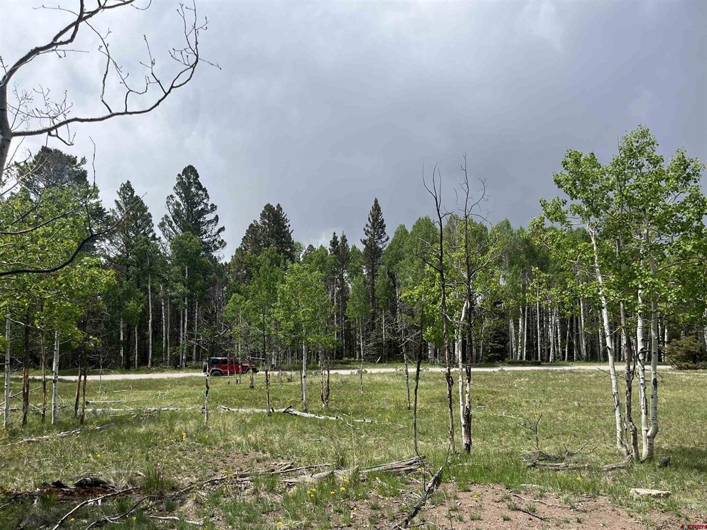 254 Aspen Trail Property Photo 2