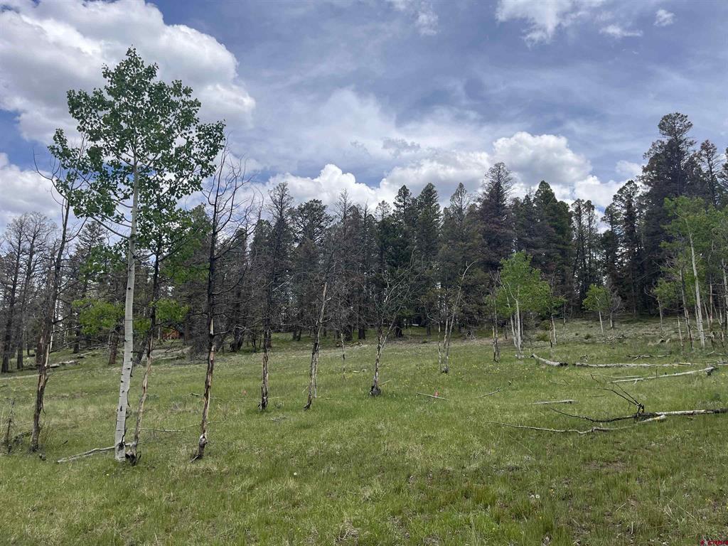 254 Aspen Trail Property Photo 3