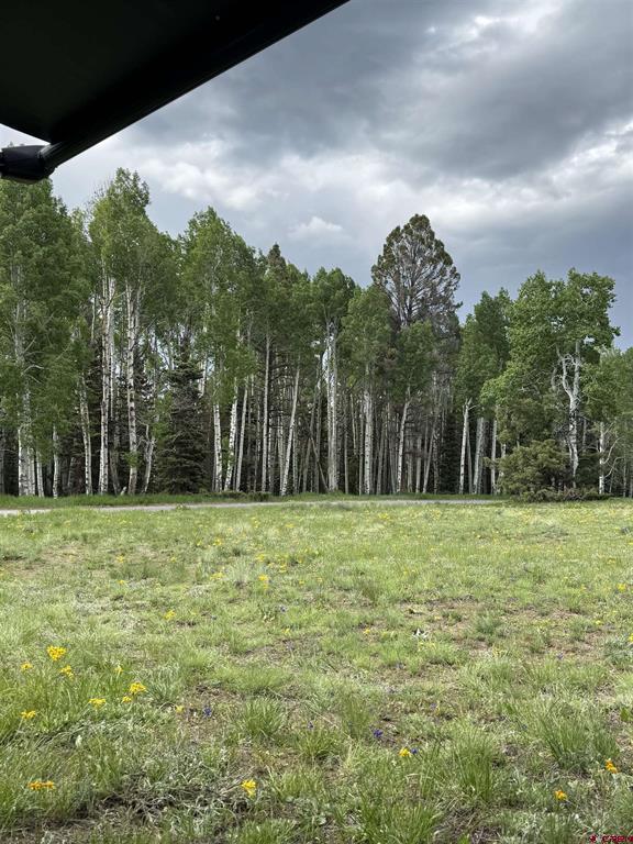 254 Aspen Trail Property Photo 5