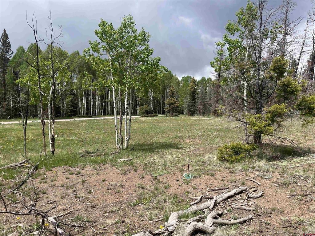254 Aspen Trail Property Photo 6