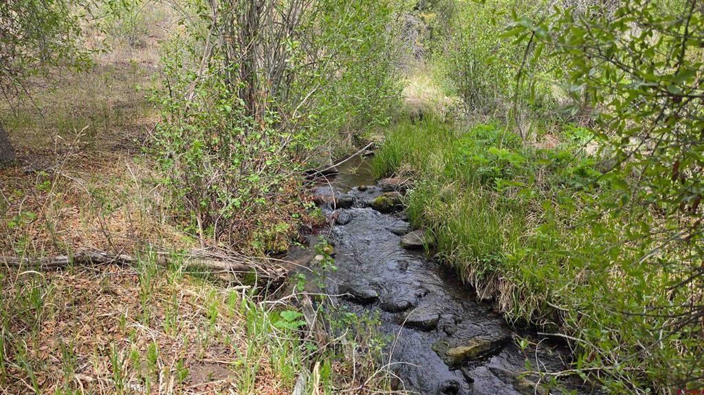 23 Bear Cub Hollow Property Photo 10