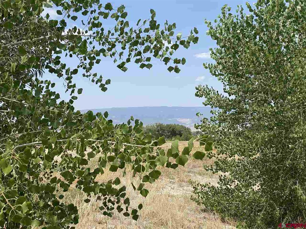 6120 Stirrup Creek Road Property Photo 3