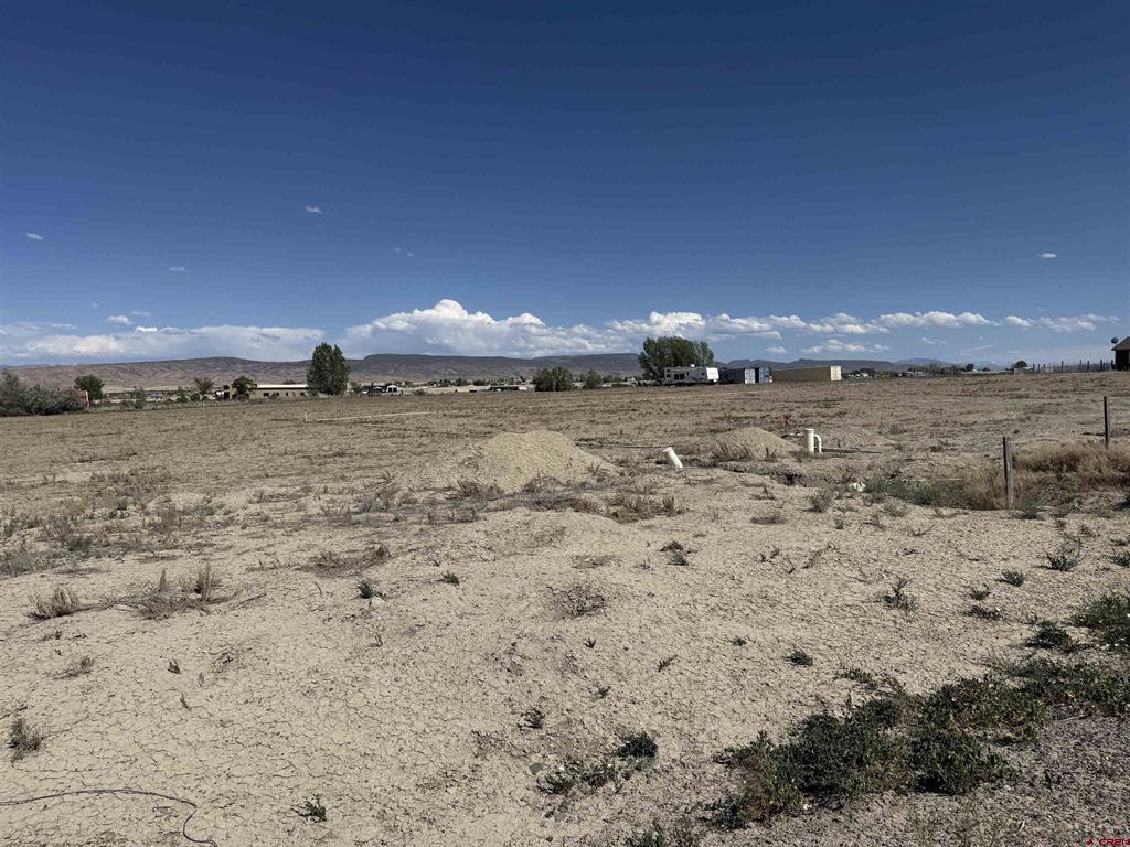 6120 Stirrup Creek Road Property Photo 5