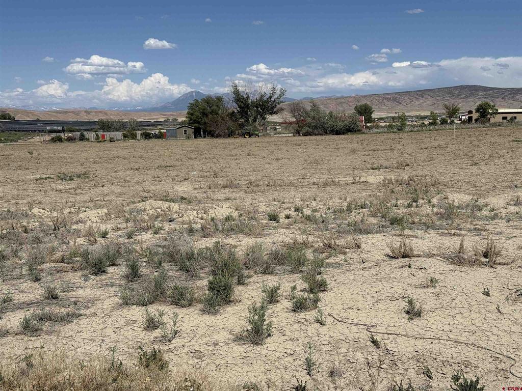 6120 Stirrup Creek Road Property Photo 6