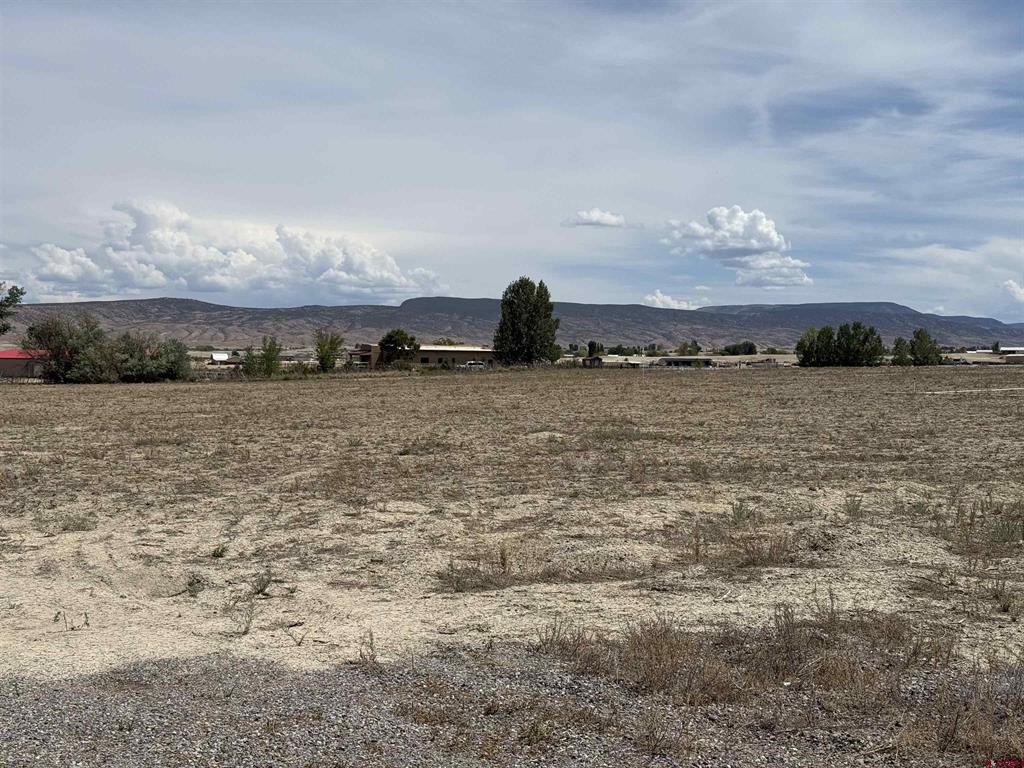 6120 Stirrup Creek Road Property Photo 19