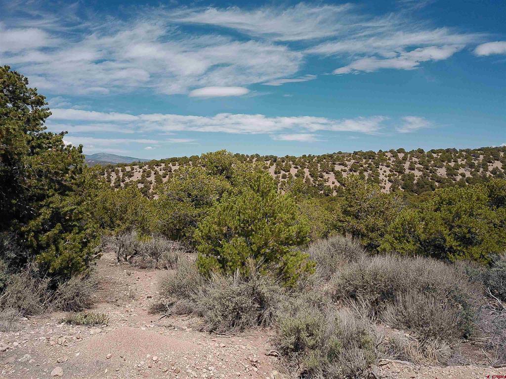Na Andruss Road Property Photo 4