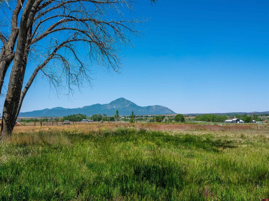 12195 Road 26 Property Photo 1