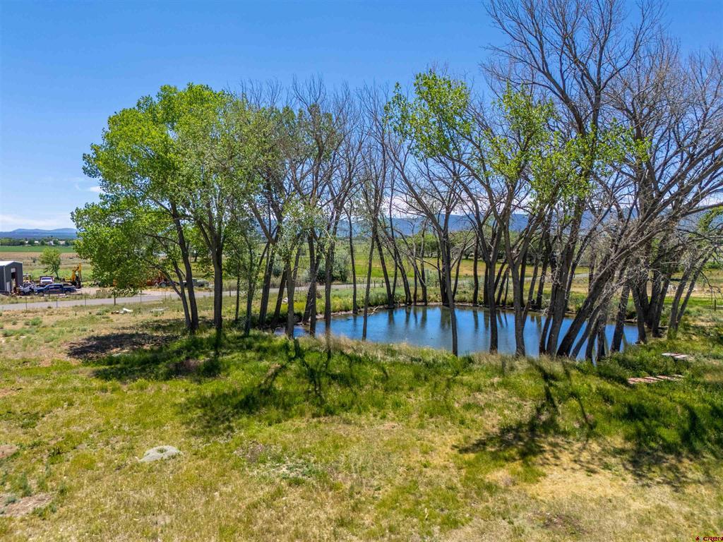 12195 Road 26 Property Photo 3