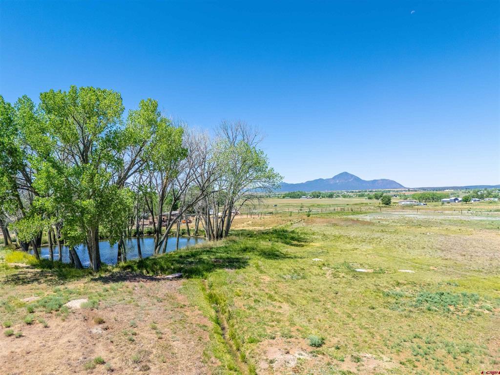 12195 Road 26 Property Photo 4