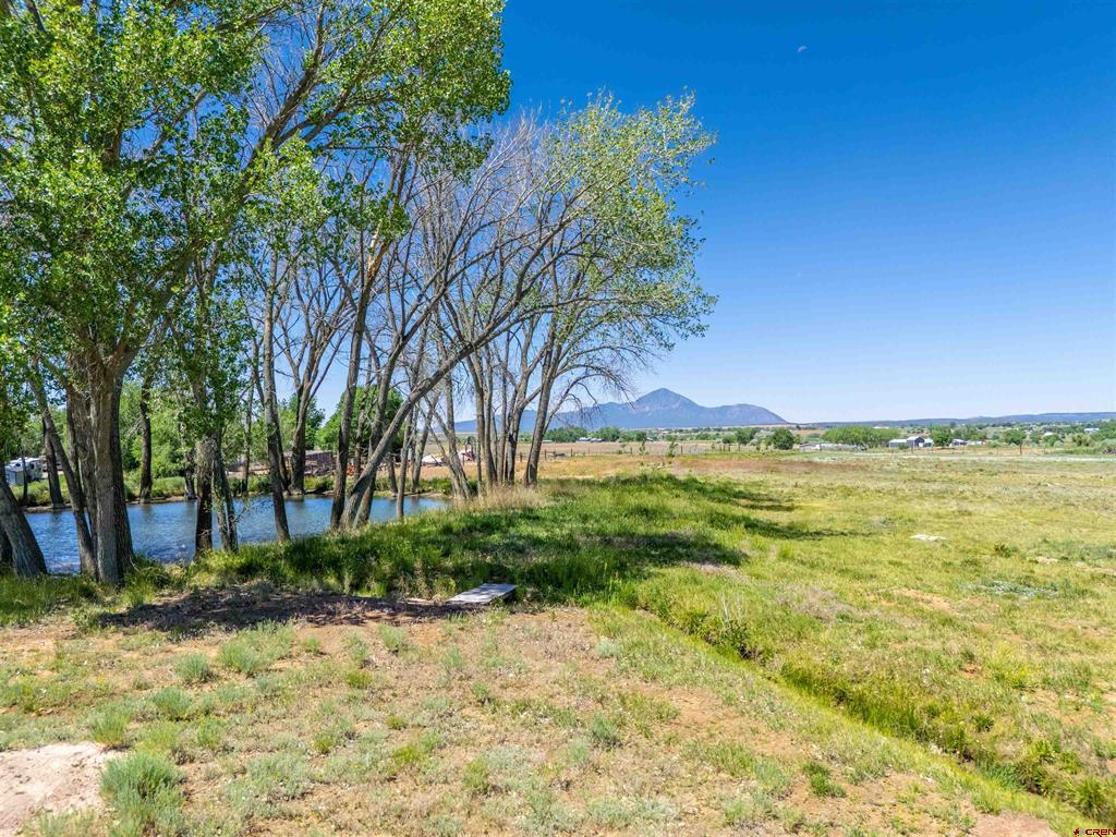 12195 Road 26 Property Photo 5