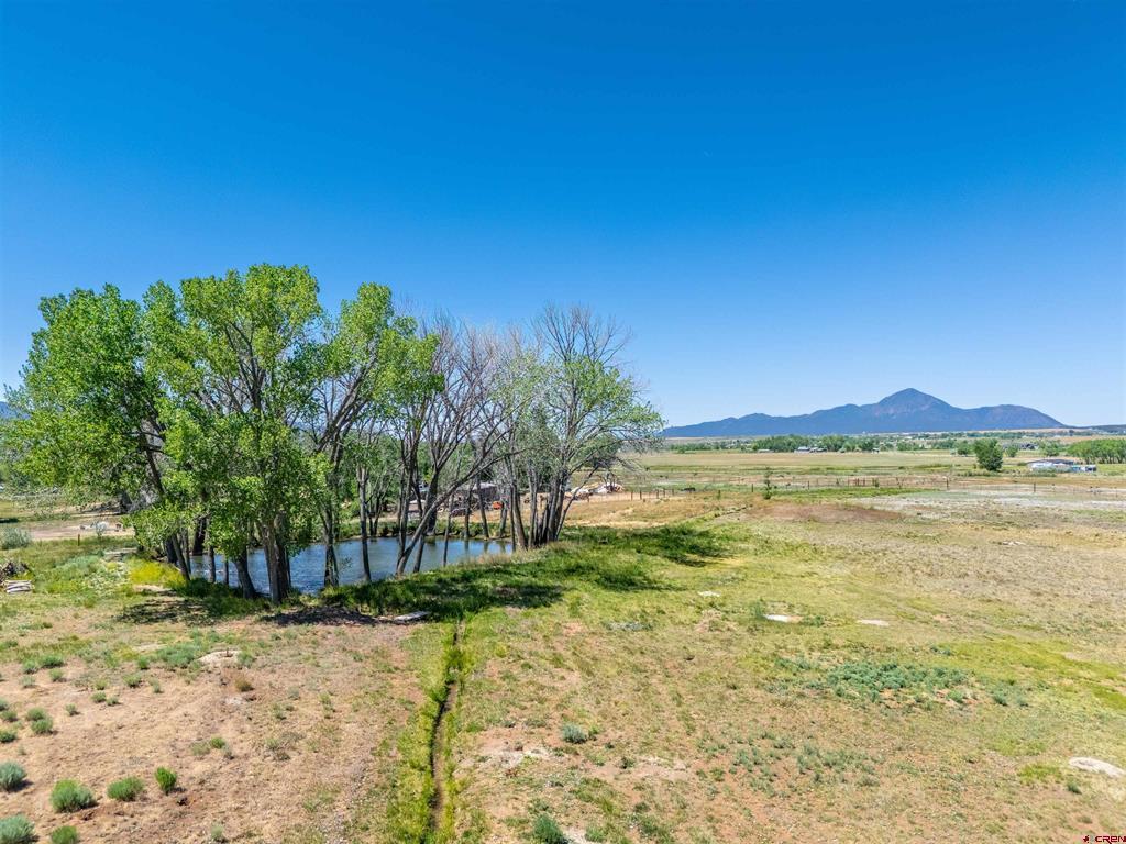 12195 Road 26 Property Photo 6
