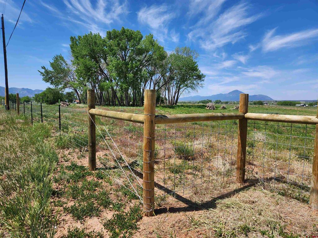 12195 Road 26 Property Photo 10